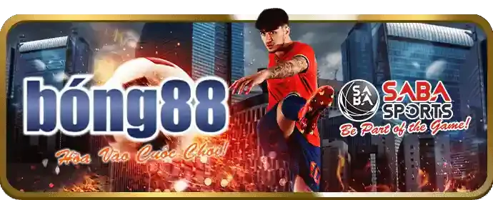 Xác nhận và bắt đầu trải nghiệm BL777